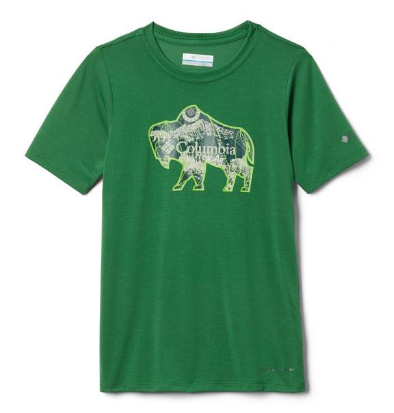 Columbia Ranco Lake T-Shirt Green For Boys NZ46738 New Zealand